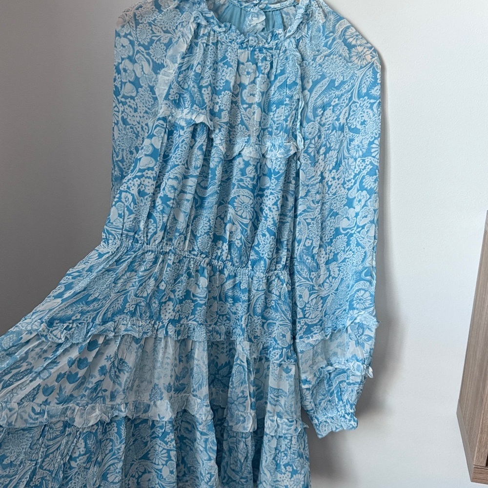 Anthropologie Long-Sleeve Backless Sheer Ruffle Mini Dress , Size L - Picture 4 of 13